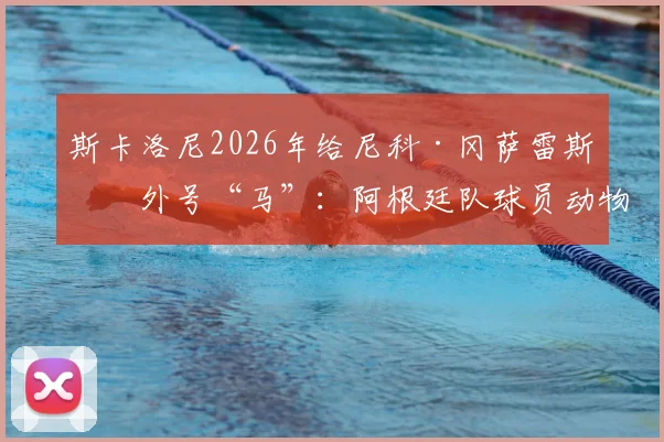 斯卡洛尼2026年给尼科·冈萨雷斯取外号“马”：阿根廷队球员动物绰号大全，队内已成动物园